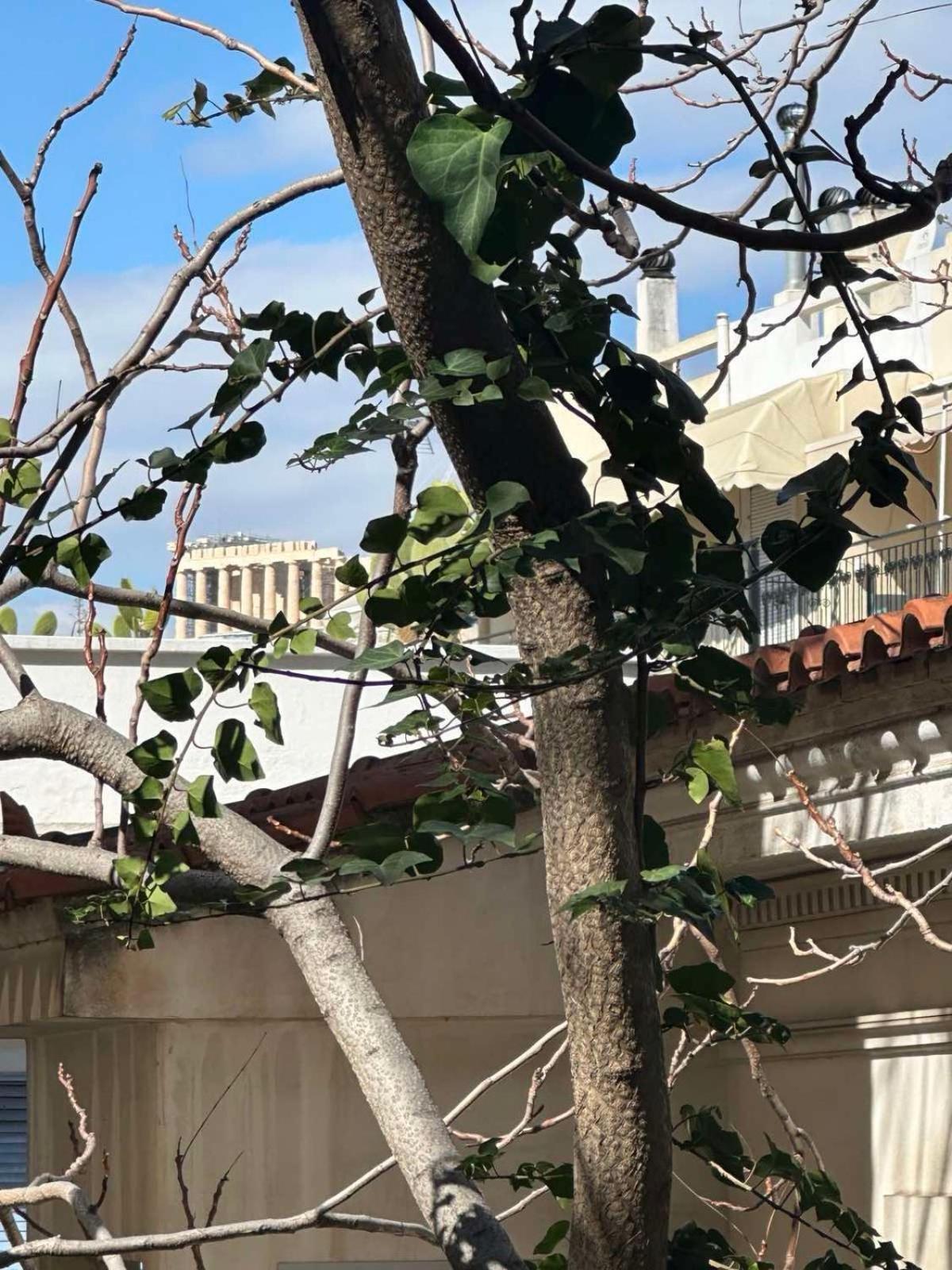Bingo!!!Studio-5'To Acropolis Αθήνα Εξωτερικό φωτογραφία